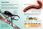 Bugs spread