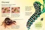 Bugs spread