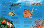 First Encyclopedia of Seas and Oceans spread