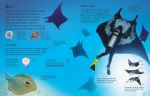 First Encyclopedia of Seas and Oceans spread