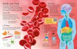 First Encyclopedia of the Human Body spread