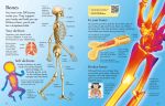 First Encyclopedia of the Human Body spread