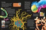 First Encyclopedia of the Human Body spread