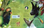 First Encyclopedia of Animals spread