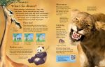 First Encyclopedia of Animals spread