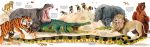 Big Book of Big Animals spread