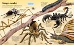 Big Book of Big Animals spread