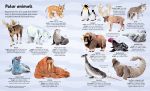 Big Book of Big Animals spread
