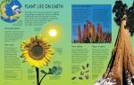 The Usborne Encyclopedia of Planet Earth spread