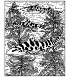 Les requins page intérieure