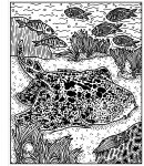 Les requins page intérieure