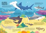 Les requins page intérieure