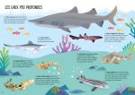 Les requins page intérieure