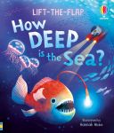 Very First Questions and Answers: How deep is the sea? book cover
