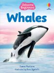 Beginners Whales book cover