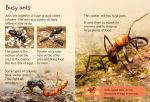 Ants spread