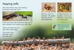 Ants spread