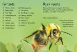 Bees and Wasps spread