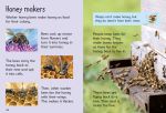 Bees and Wasps spread