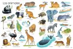 First Thousand Words in Spanish spread