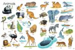 First Thousand Words in English spread