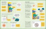 Understanding Coding Using Scratch spread