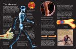 Complete Book of the Human Body spread