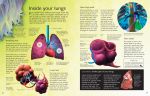 Complete Book of the Human Body spread