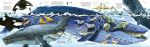 Big Book of Big Sea Creatures spread