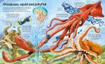 Big Book of Big Sea Creatures spread
