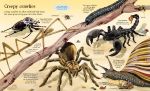 Big Book of Big Animals spread