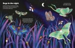 Big Sticker Book Bugs spread