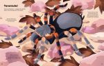 Big Sticker Book Bugs spread