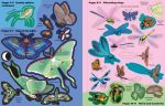 Big Sticker Book Bugs spread