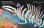 Big Sticker Book Weird Deep Sea Creatures spread