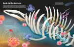 Big Sticker Book Weird Deep Sea Creatures spread