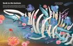 Big Sticker Book Weird Deep Sea Creatures spread