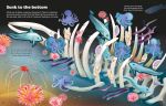 Big Sticker Book Weird Deep Sea Creatures spread
