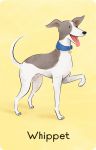 Dogs Snap spread