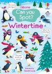 Can You Spot? Wintertime book cover