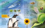 First Encyclopedia of Science spread