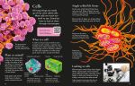 First Encyclopedia of Science spread