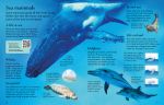 First Encyclopedia of Animals spread