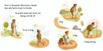 The Good Samaritan spread