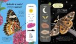 Usborne First Book of Bugs spread