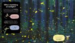 Usborne First Book of Bugs spread