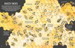 See Inside Bugs and Butterflies spread