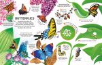 See Inside Bugs and Butterflies spread