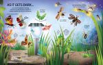 See Inside Bugs and Butterflies spread