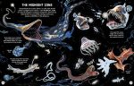 Glow in the Dark Oceans spread
